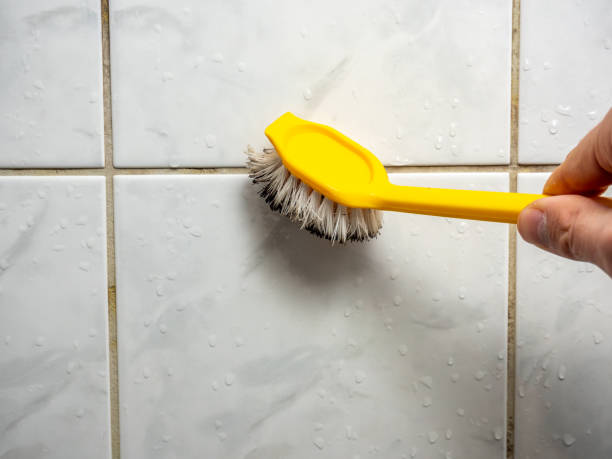 Best Commercial Mold Removal  in Rden City, GA