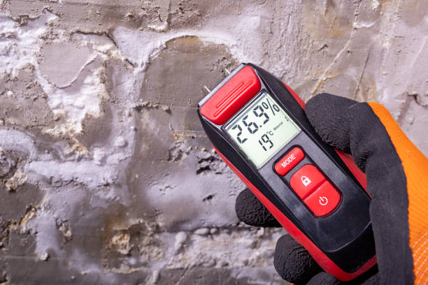 Crawl Space Mold Removal in Garden City, GA