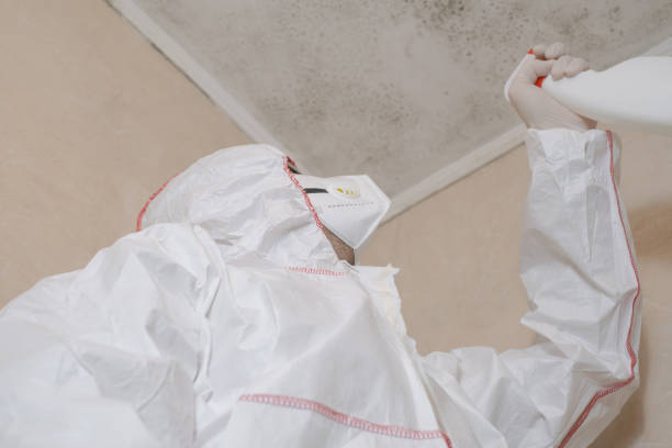 Best Water Damage Restoration  in Rden City, GA